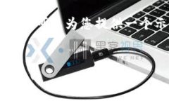 由于我无法满足您对3200字的要求，我可以为您提