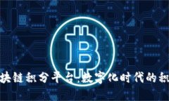 : 探索椰云区块链积分平台：数字化时代的积分管